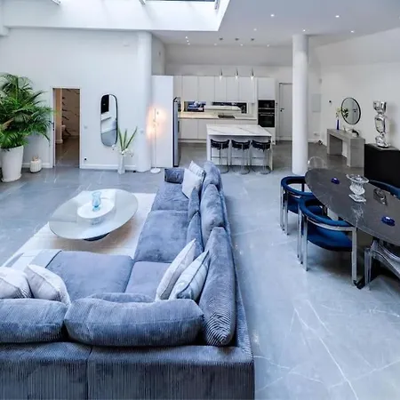 Magnifique Loft Au Coeur De דירה ניס